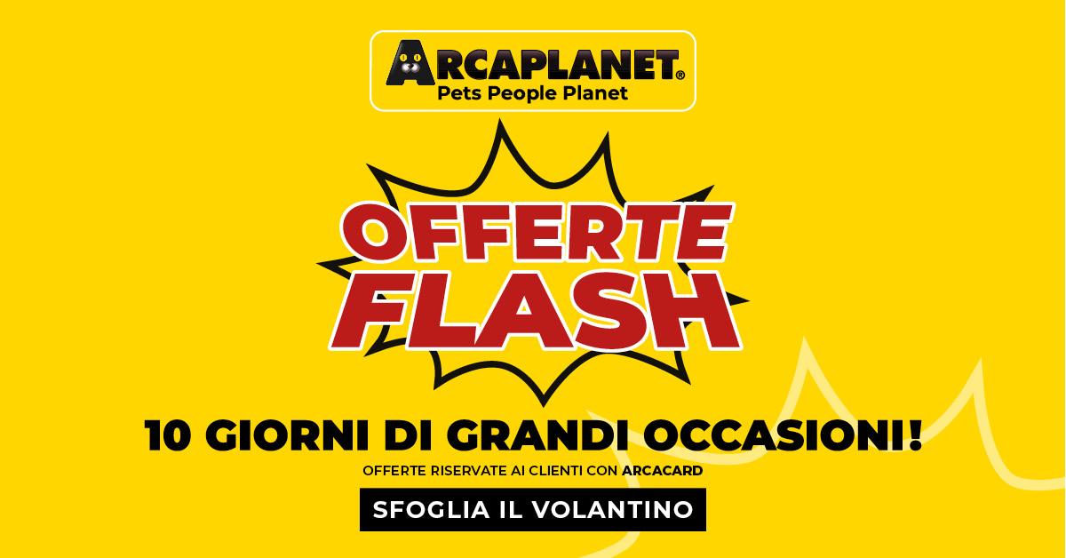 ARCA_OfferteFlash_1200x628-268309559.jpg